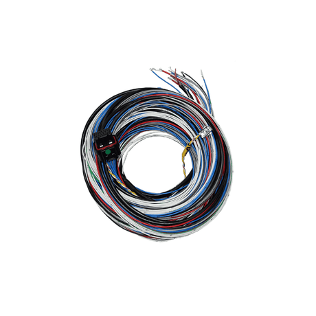 FT450/550 A Unterminated Harness HARNESS Stone Motorsport