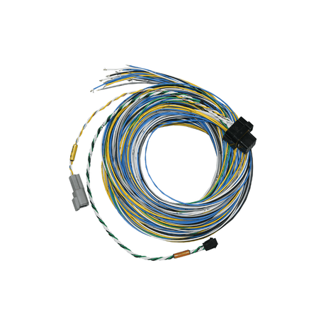 Fueltech FT550 Unterminated Harness - Stone Motorsport