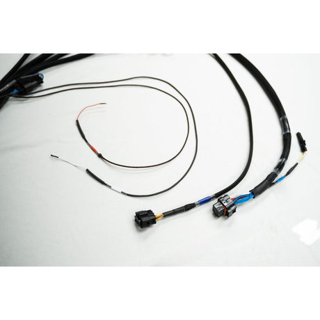 FT450/550 4 CYLINDER UNIVERSAL A HARNESS - Stone Motorsport