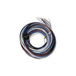 Fueltech FT450-550 B Wire Harness 10FT - Stone Motorsport