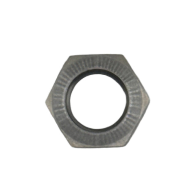 MaxFlo AN3 S/S Bulkhead Nut - Stone Motorsport