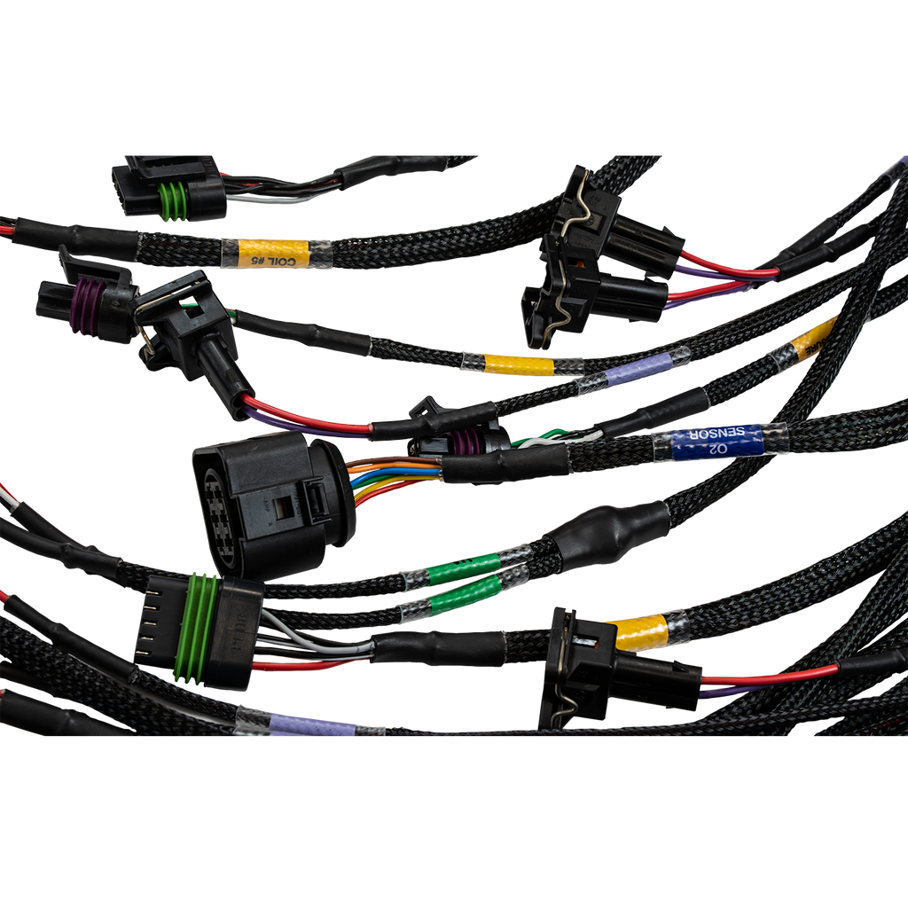 FT450/FT550 6 CYLINDER UNIVERSAL A HARNESS HARNESS Stone Motorsport 