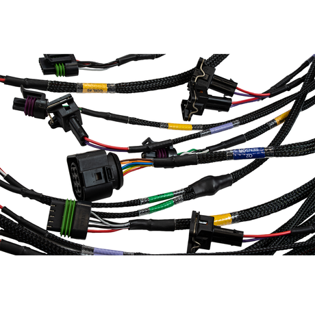 FT450/FT550 6 CYLINDER UNIVERSAL A HARNESS - Stone Motorsport