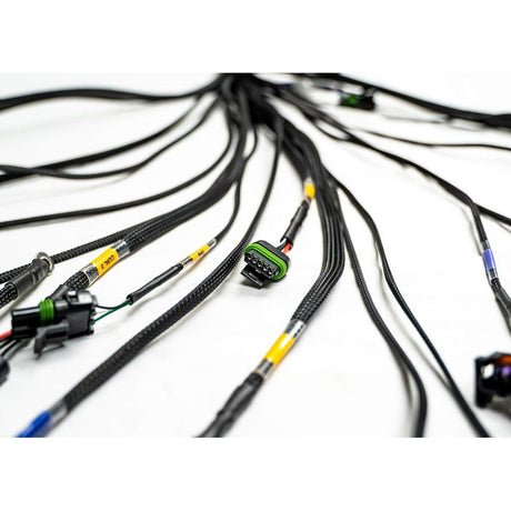 FT450/550 4 CYLINDER UNIVERSAL A HARNESS - Stone Motorsport