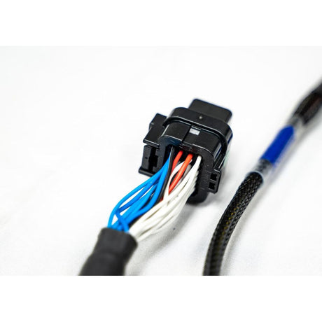 FT450/550 4 CYLINDER UNIVERSAL A HARNESS - Stone Motorsport